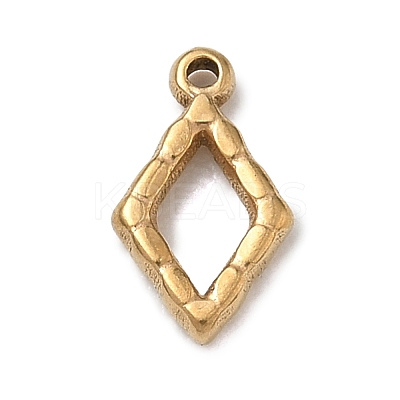 304 Stainless Steel Charms SA-B007-02G-B-1