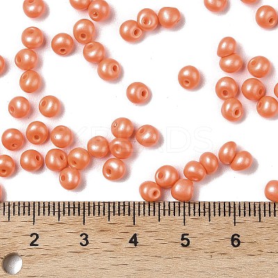 6/0 Glass Seed Beads SEED-L011-08A-20-1