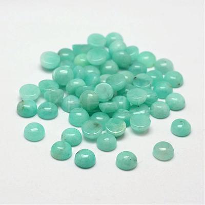 Dome/Half Round Natural Amazonite Cabochons G-O146-02B-1