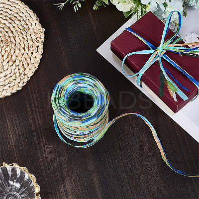 6 Colors Raffia Paper Cords OCOR-WH0063-110D-1