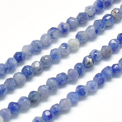 Natural Sodalite Beads Strands X-G-J002-09-1