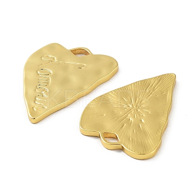 304 Stainless Steel Pendants STAS-F304-06G-02-1