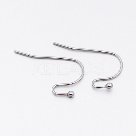 Tarnish Resistant 304 Stainless Steel Earring Hooks LS-STAS-E074-44-1