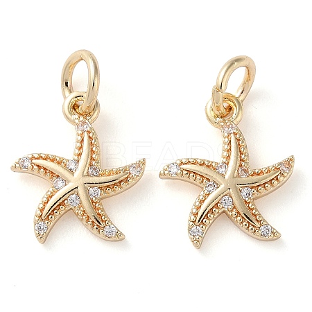 Rack Plating Brass Micro Pave Clear Cubic Zirconia Charms KK-D097-04G-1
