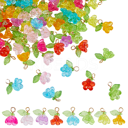 100Pcs Transparent Acrylic Charms PALLOY-DC00041-1