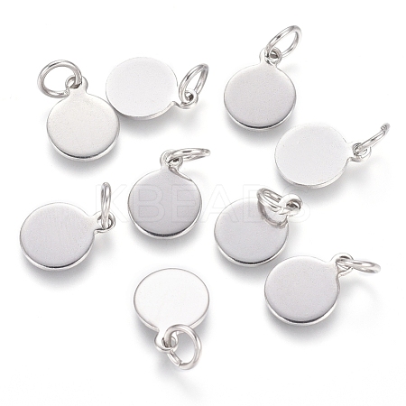 Non-Tarnish 304 Stainless Steel Charms STAS-I124-02B-P-1