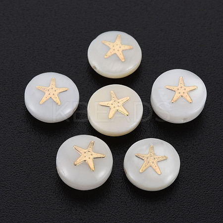 Natural Freshwater Shell Beads SHEL-S278-063-1