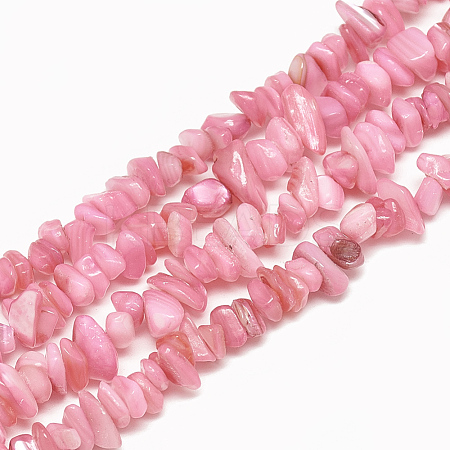 Freshwater Shell Beads Strands SHEL-S270-05-1