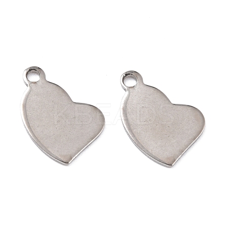 Tarnish Resistant 201 Stainless Steel Charms STAS-K217-77-1