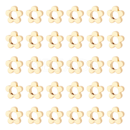 30Pcs Brass Bead Frames KK-DC0002-54-1