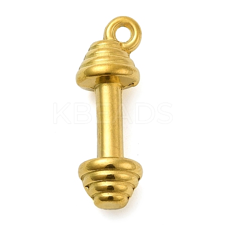 Ion Plating(IP) 304 Stainless Steel Pendants STAS-M070-18G-1