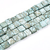 Natural Variscite Beads Strands G-N346-05A-05-2