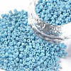 Opaque 8/0 Glass Seed Beads SEED-S023-01B-03-1