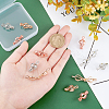 ARRICRAFT 12Pcs 3 Colors Alloy Bead Cage Pendants FIND-AR0001-60-3