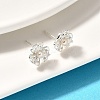 Natural Pearl Ear Studs EJEW-L099-10S-3