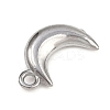 304 Stainless Steel Charms STAS-C140-01F-P-2