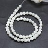 Natural White Shell Beads Strands SSHEL-P015-01A-6mm-2