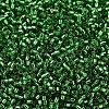 MIYUKI Delica Beads SEED-J020-DB0046-2
