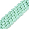 Opaque Solid Color Glass Beads Strands GLAA-N071-01A-C05-1