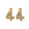 304 Stainless Steel Pendants STAS-L080-002G-04-1