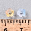 Frosted Transparent Acrylic Beads LS-OACR-N137-72F-4