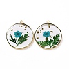 Transparent Clear Epoxy Resin Pendants RESI-L036-12G-06-2