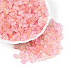 Frosted Glass Seed Beads SEED-N008-05B-1