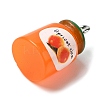 Opaque Resin Imitation Food Pendants LS-RESI-L038-06P-01-3