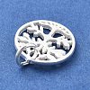 925 Sterling Silver Charms STER-S009-01C-S-2
