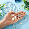 Craftdady 14Pcs 7 Styles Natural Freshwater Shell Pendants SHEL-CD0001-05-6