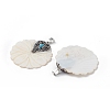 Natural Freshwater Shell Pendants BSHE-G033-06-3