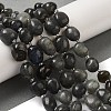 Natural Larvikite Beads Strands G-Q169-E05-01-2