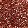 6/0 Transparent Inside Colours Glass Seed Beads SEED-P006-01A-05-3