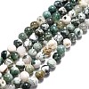 Natural Tree Agate Beads Strands X-G-H1633-8MM-1