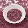 MIYUKI Delica Beads SEED-JP0008-DB1746-2