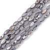 Natural Freshwater Shell Dyed Beads Strands SHEL-M018-13-04-1