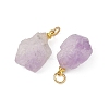 Raw Rough Natural Amethyst Pendants PALLOY-JF05951-2