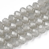 Glass Beads Strands EGLA-A034-J4mm-D10-1