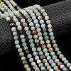 Natural Flower Amazonite Beads Strands Z26N5018-4