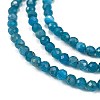 Natural Apatite Beads Strands G-Z057-B02-02-3