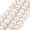 Natural Cultured Freshwater Pearl Beads Strands PEAR-C003-13C-2