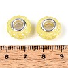 Opaque Resin European Beads LS-RESI-T057-29L-3