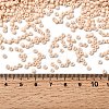 TOHO 8/0 Round Beads X-SEED-TR08-0763-3