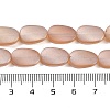 Electroplate Glass Beads Strands EGLA-C009-01B-PL01-4