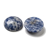 Natural Blue Spot Jasper Cabochons G-C115-02A-45-2