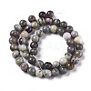Natural Zebra Jasper Beads Strands G-E551-C-03-2