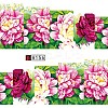 Watermark Slider Gel Nail Art LS-MRMJ-Q080-A156-2