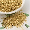 MIYUKI Delica Beads SEED-X0054-DB0031-1