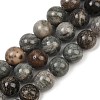 Natural Gemstone Beads Strands G-F792-C11-06-2