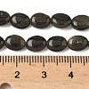 Natural Golden Sheen Obsidian Beads Strands G-Z006-A40-5